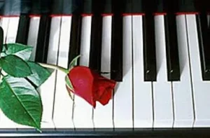 Piano keyboard with a red rose lying on it