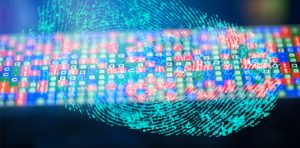 A fingerprint superimposed over a genetic map